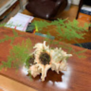 Meet your Posher, Suping